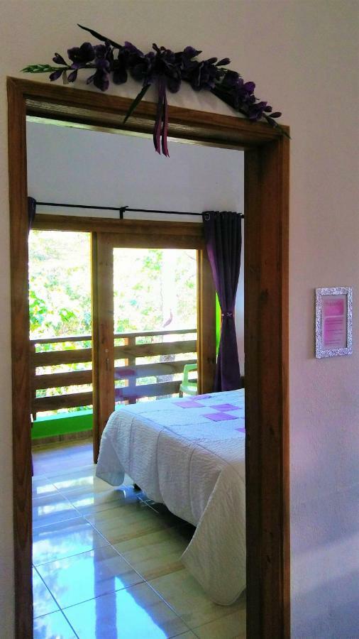 Mi Hogar Jarabacoaアパートメント エクステリア 写真